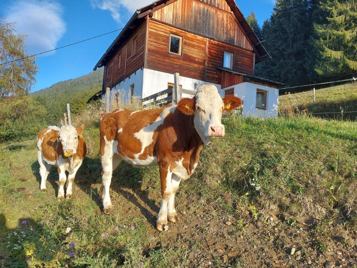 Karlbauer Huette Villa Lendorf Екстериор снимка